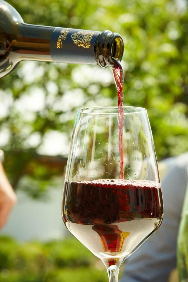 Gaestehaus Weingut Mathy-Schanz Osann-Monzel Екстер'єр фото