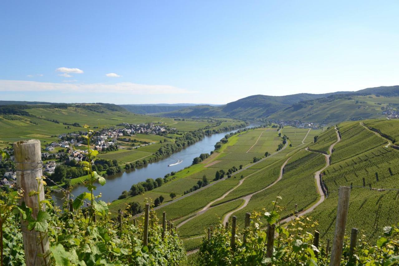 Gaestehaus Weingut Mathy-Schanz Osann-Monzel Екстер'єр фото