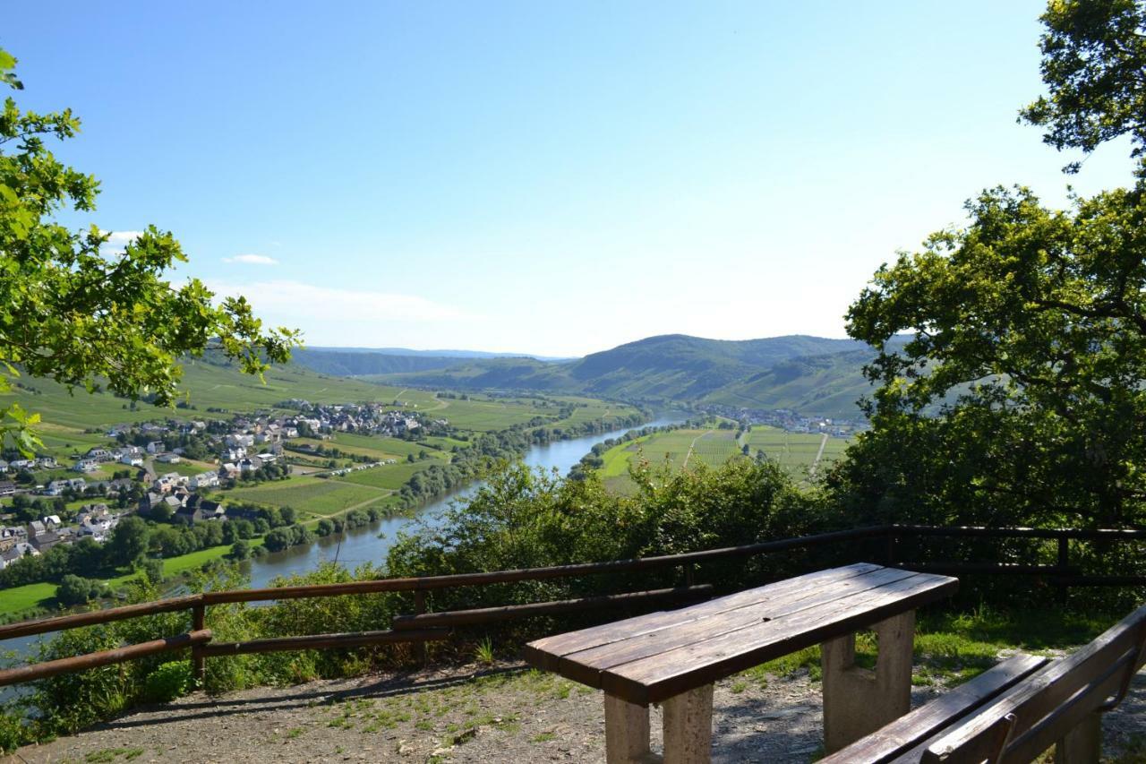 Gaestehaus Weingut Mathy-Schanz Osann-Monzel Екстер'єр фото