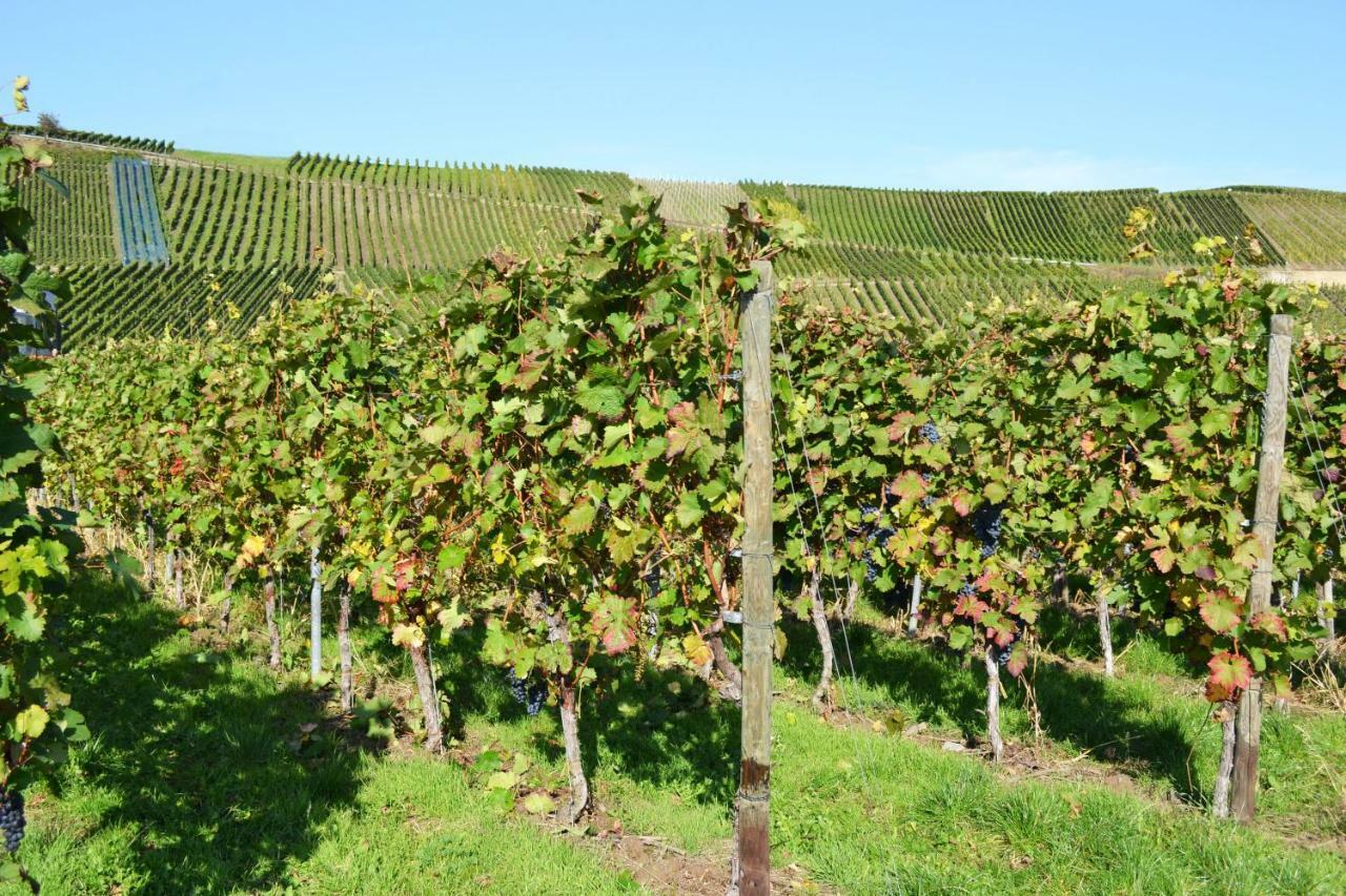 Gaestehaus Weingut Mathy-Schanz Osann-Monzel Екстер'єр фото